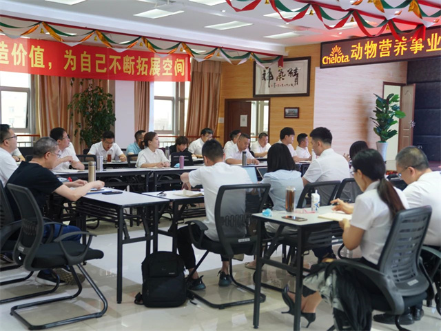 �ƻ�Ӫ����