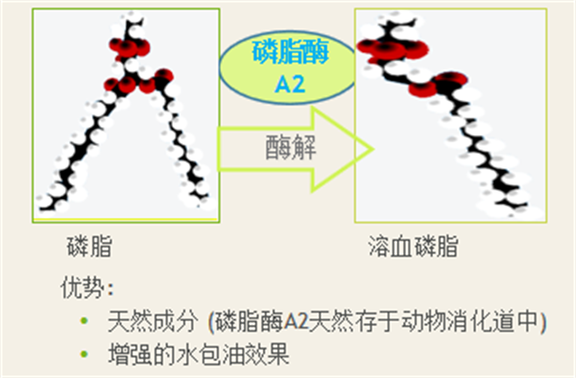 �������Ӽ�