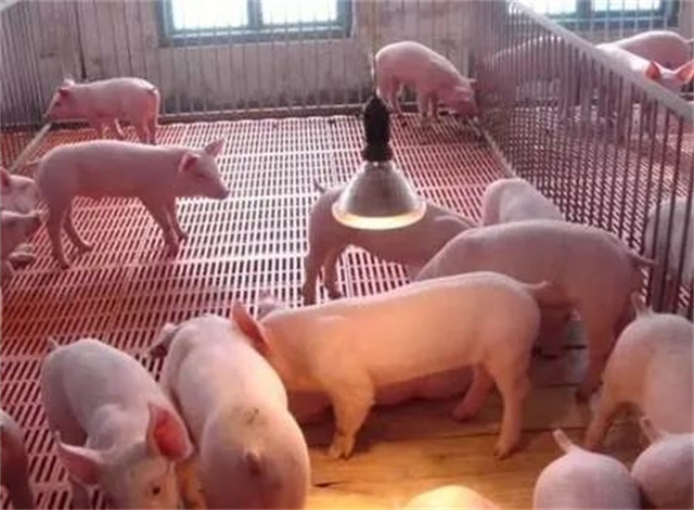 ��������Ӧ���ۺ���Ԥ���취