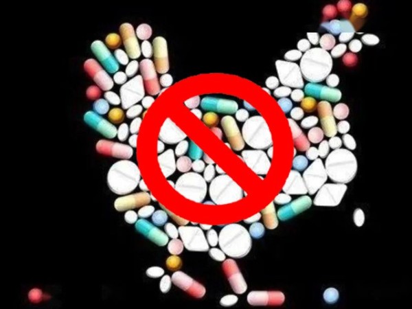 ��������������ϲ�ǲΰ룻�����Ż��������ƽ�������������