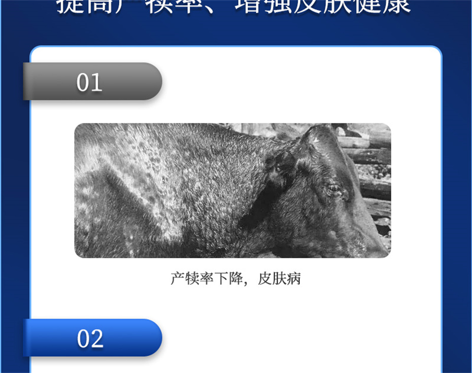 bbin��ӯ����ţ���������Ӽ�����Ѫţ���Ʒ����