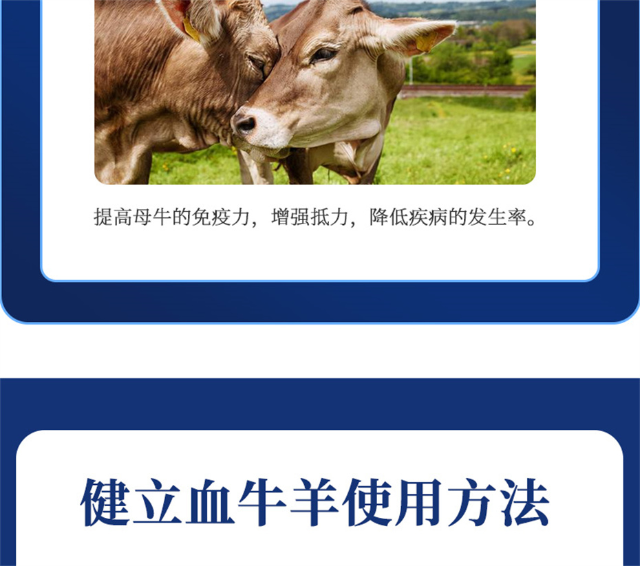 bbin��ӯ����ţ���������Ӽ�����Ѫţ���Ʒ����