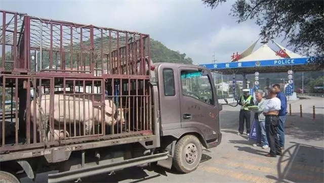 ������������