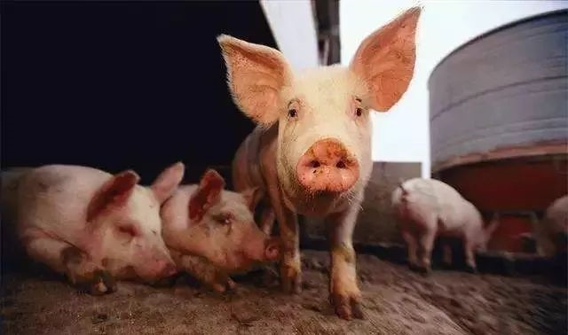 ������������