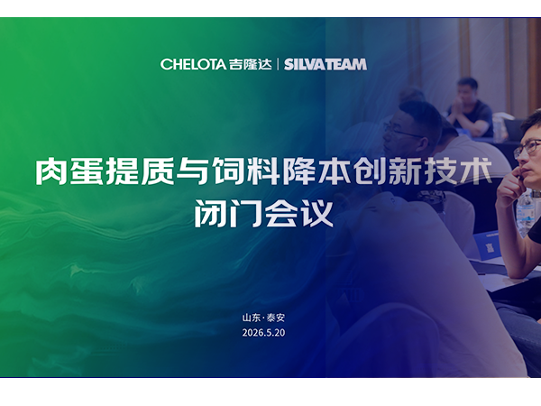 ������ | CHELOTAbbin��ӯ&�����ʩ�����⵰���������Ͻ������¼������Ż�Բ������