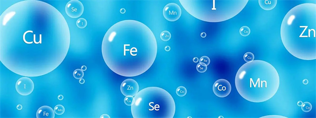 ����������΢��Ԫ��