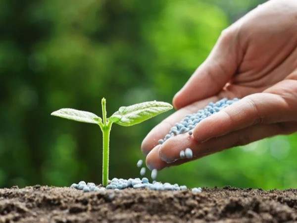 �߲������ʩ����