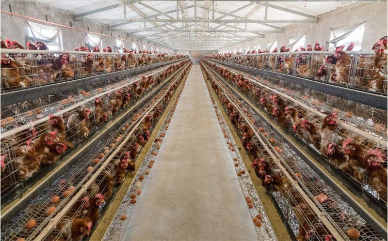 �������Ӽ�