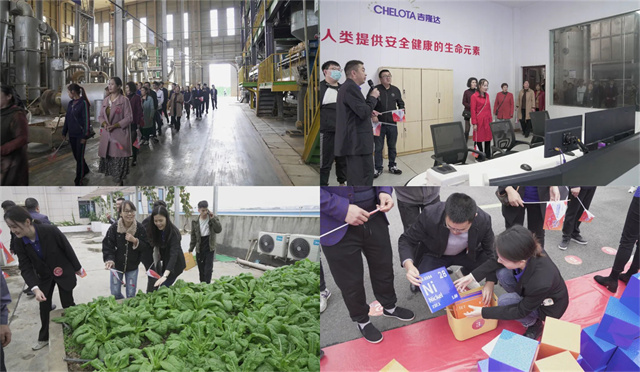 �������Ӽ�����bbin��ӯ25������