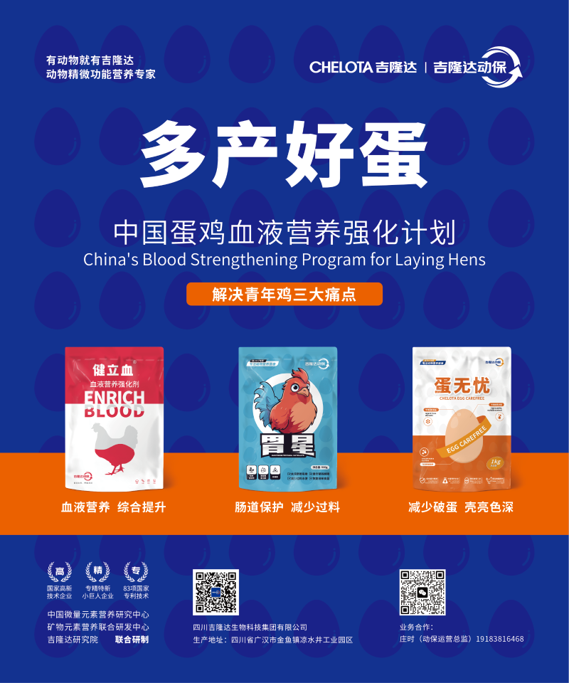 20250214���꼦��̳-01