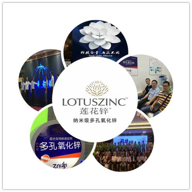 bbin��ӯ�������п