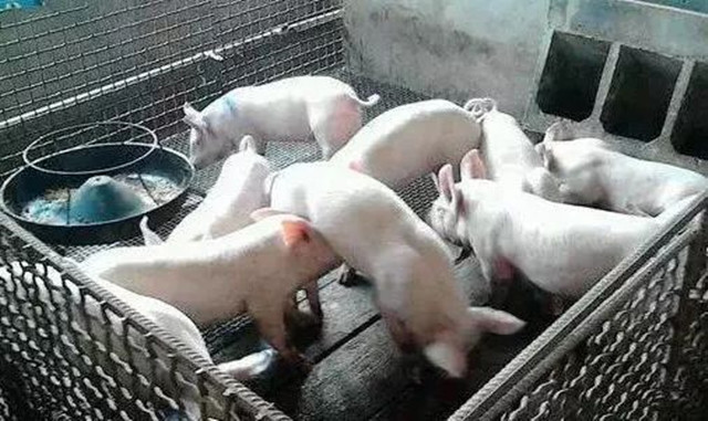 ��ҧ����ԭ��