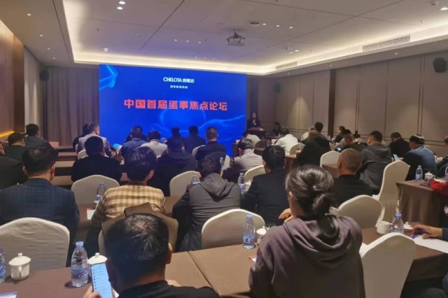 �й��׽쵰�½�����̳