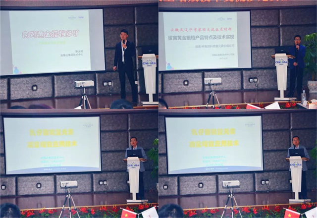 ����������ҵ�ι��л�΢��Ԫ�س���bbin��ӯ