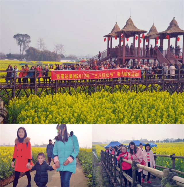 bbin��ӯ���˽ڻ