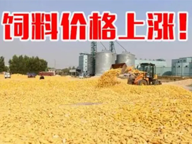 �ں����ϼ۸��ٴ����������ϳ�Ҳ�п࣡�ﶬ������Ҫ�Եø�������