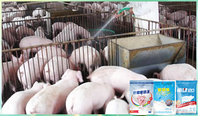 bbin��ӯ�����������Ӽ�