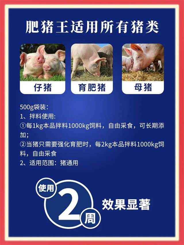 bbin��ӯ-�������÷�