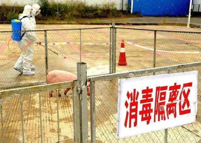 �����������ش�ʩ