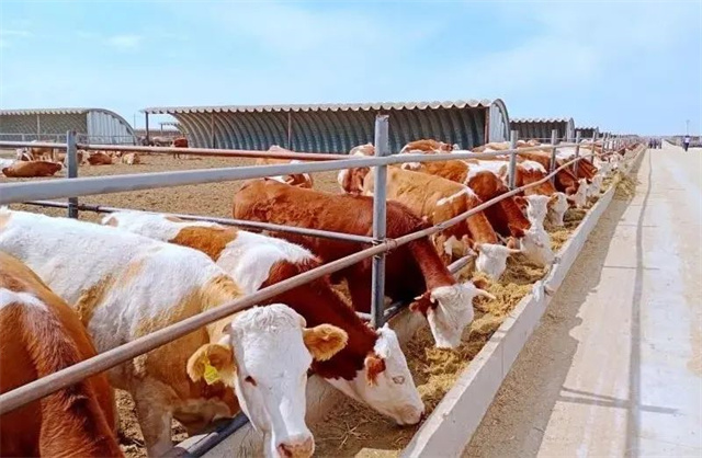 �������Ӽ�������