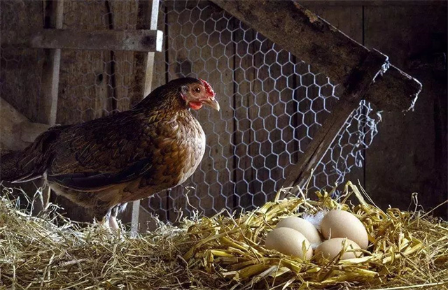 �й������г���ȴ��ܽ�