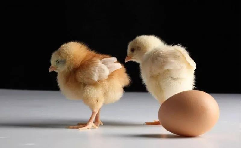 �������Ӽ�