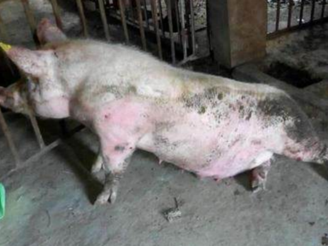 ĸ������̱����ô����