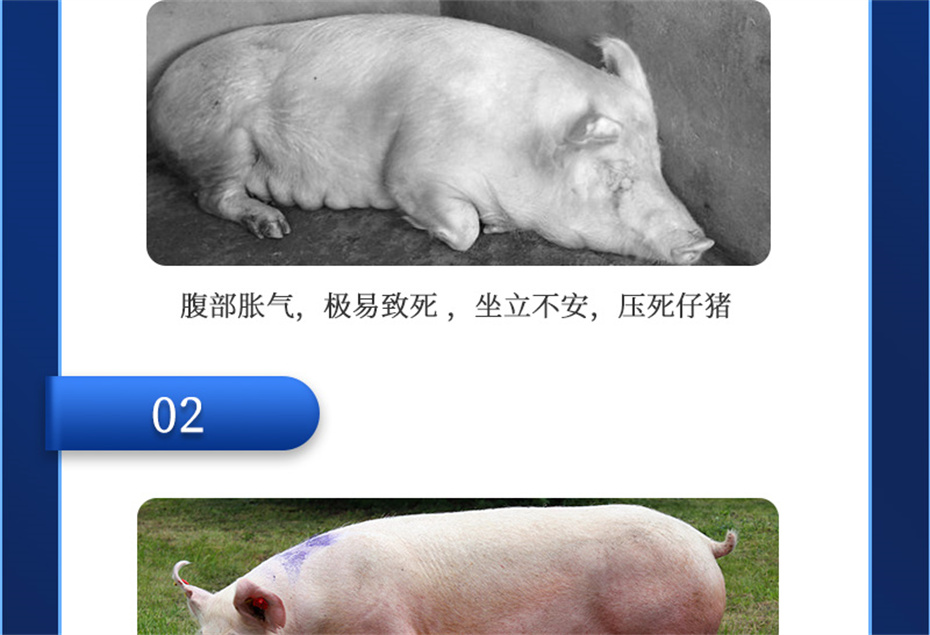 bbin��ӯ�������������Ӽ�ĸ��ͨ��Ʒ����