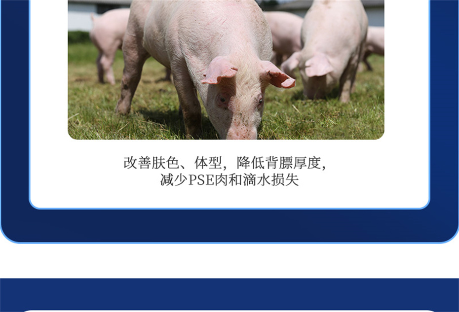 bbin��ӯ�������������Ӽ�ĸ��ͨ��Ʒ����