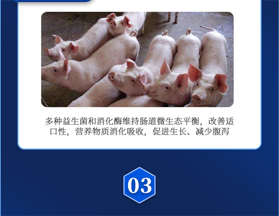 bbin��ӯ�������������Ӽ�������������Ʒ����