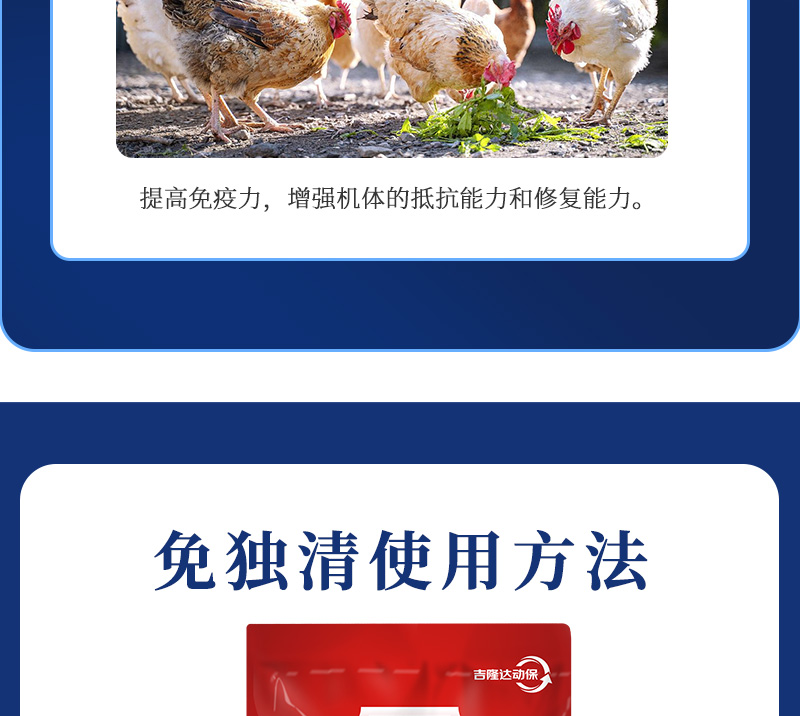 ���������_05