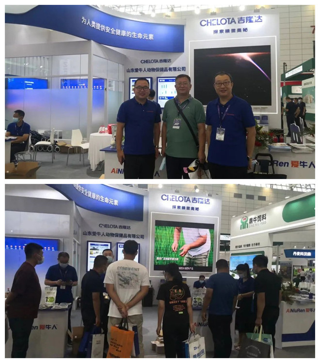 �й���ҵ��ᰮţ�˶���չ̨