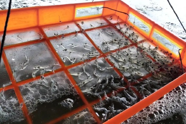 ��Ϻ�����ʱ��