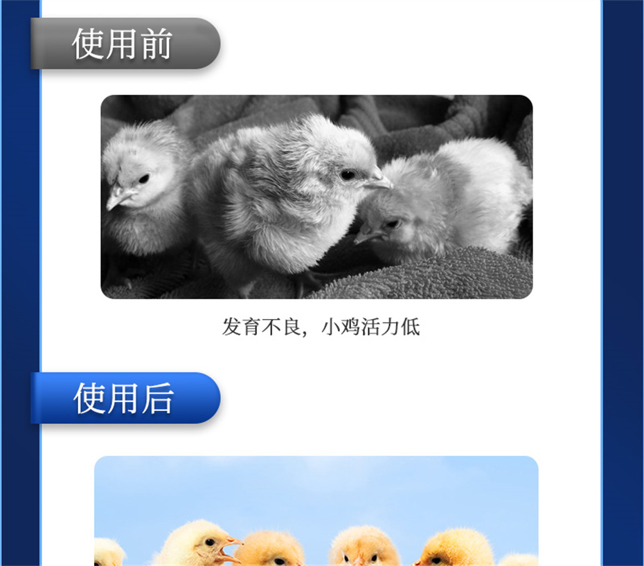 bbin��ӯ�������������Ӽ���������Ʒ����