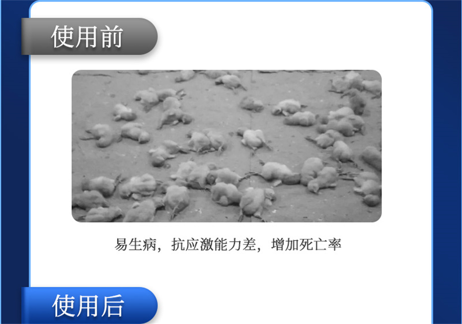 bbin��ӯ�������������Ӽ���������Ʒ����