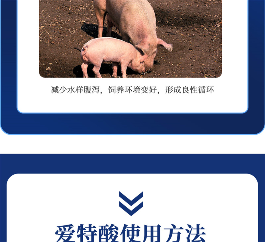 bbin��ӯ�������������Ӽ��������Ʒ����