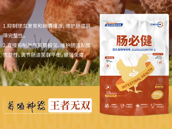 300g-1kg��Ͷ���������Ļر��������ؽ����ۺ�Ч�����
