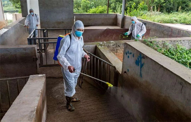 ��������ͼƬ