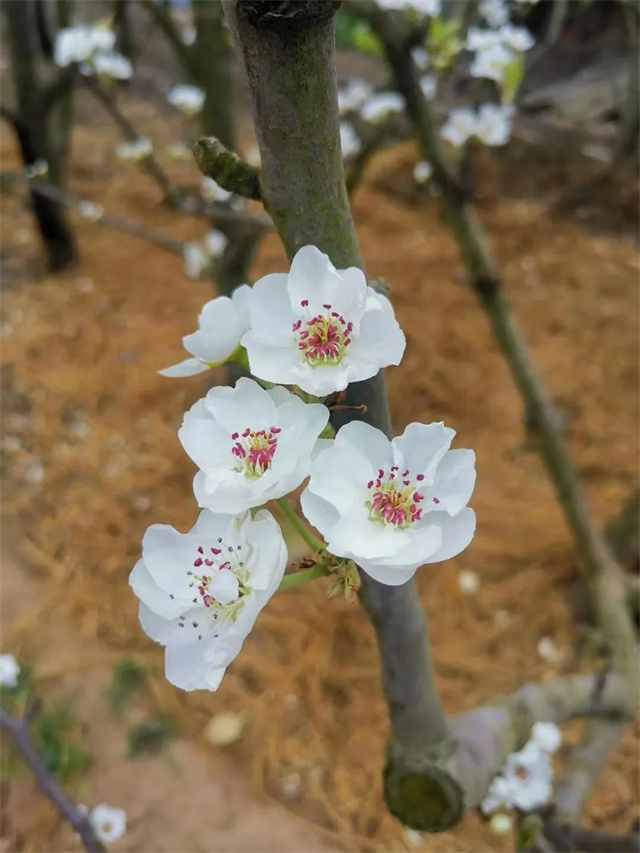 bbin��ӯ��Ӱ������Ʒ���Ķ�˲�䡷