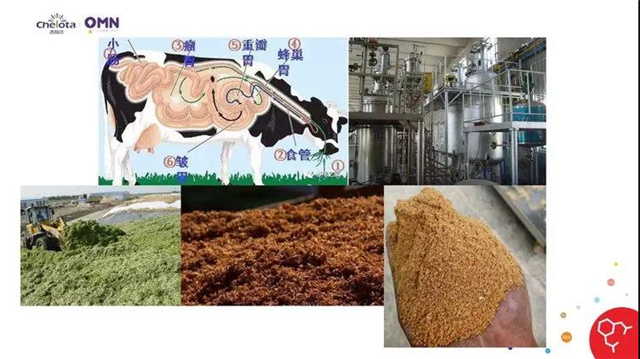 �������Ӽ�