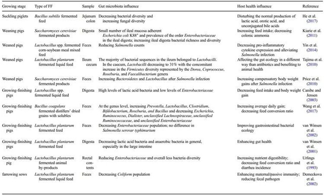 �������Ӽ�