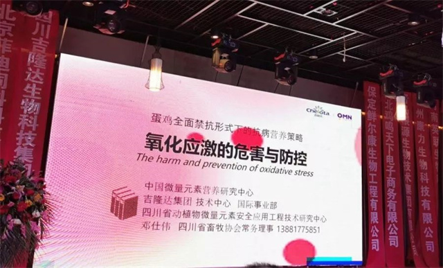 �ӱ������԰������Ϸ�չ���