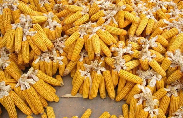 ���׷���