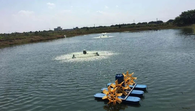 ��Ϻ�ѿǲ���