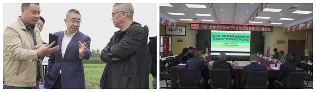 ��-����ѭ����ģʽ����