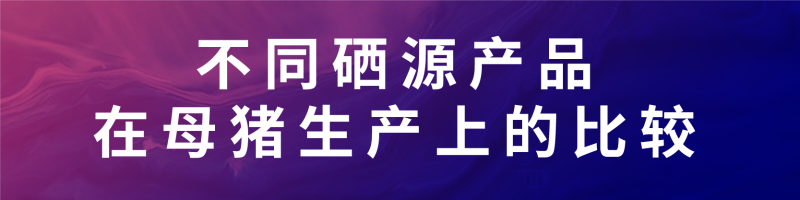 ���±����ע-04