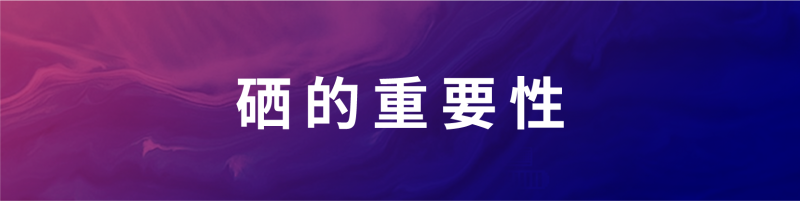 ���±����ע-06