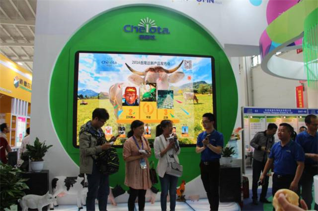 bbin��ӯ��չ�й�����������