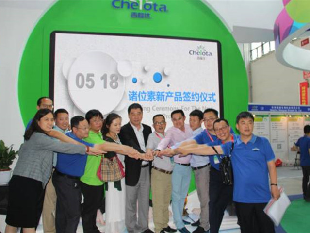 bbin��ӯ��չ�й�����������