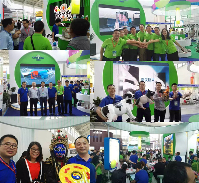 bbin��ӯ��չ�й�����������